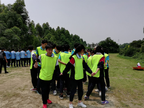 QQ图片20190527144751.jpg